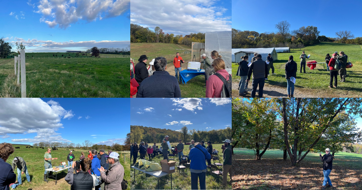 Campaign cover image for 3rd Annual Regenerative Farm Tour