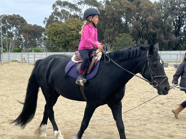 Campaign cover image for Save Horses in Orange County