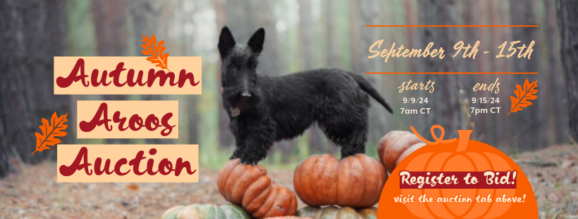 Campaign cover image for AUTUMN AROOS AUCTION 2024