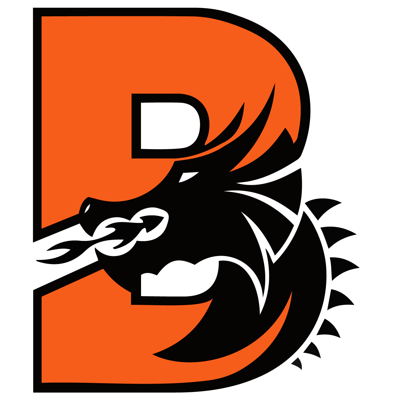 Campaign cover for Dragon Gazette