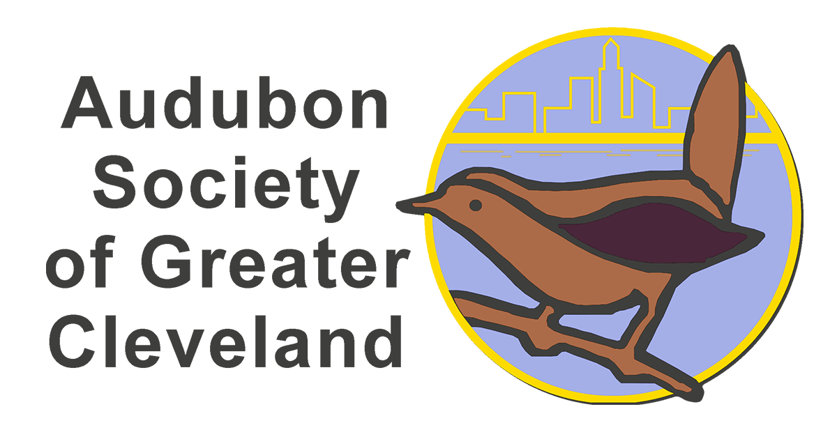 Campaign cover image for Website Donations