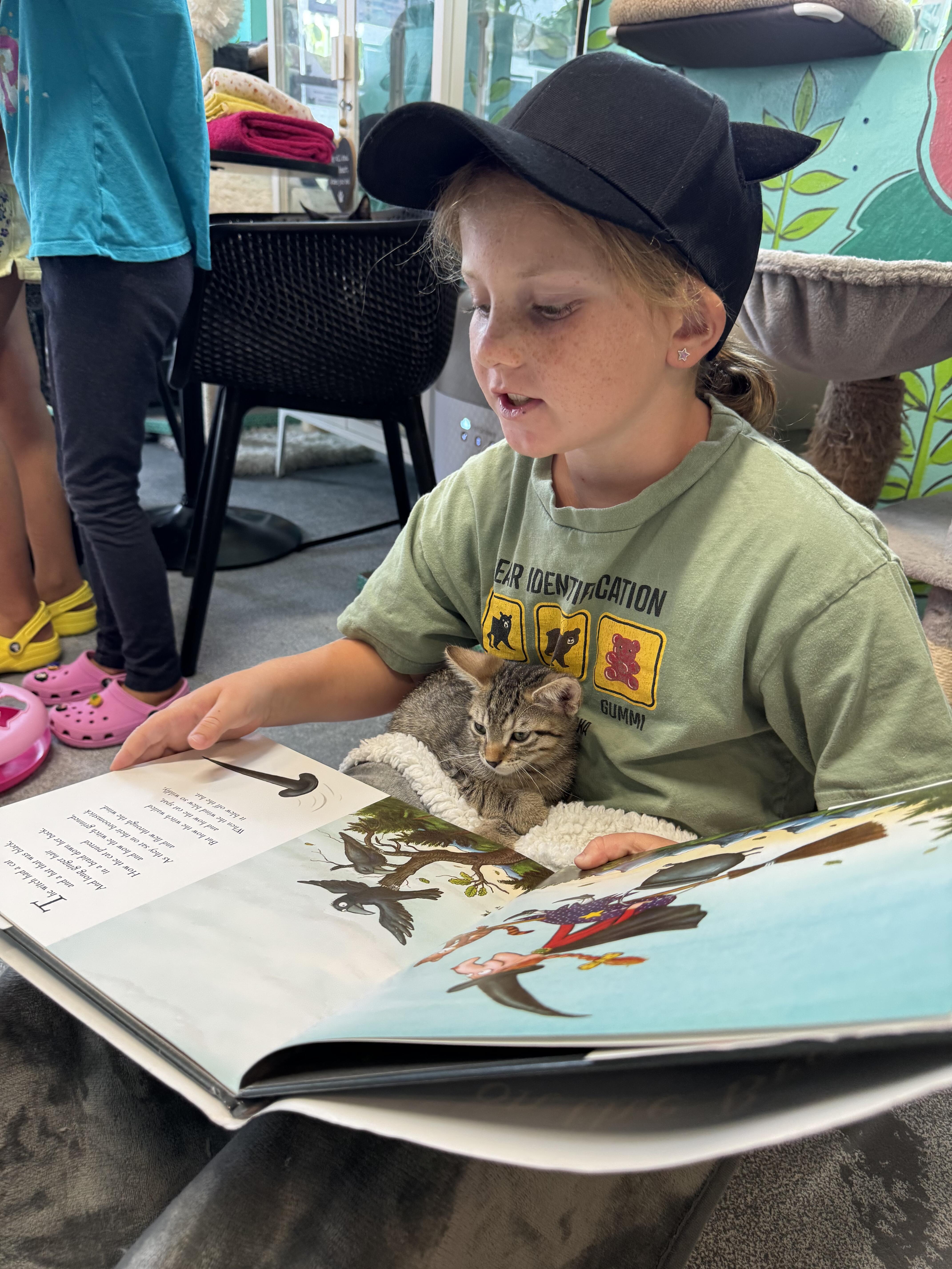 Campaign cover image for Reading with the Kittens