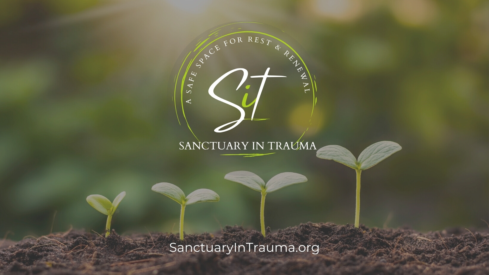 Campaign cover image for Sanctuary in Trauma: Christmas Market 2024