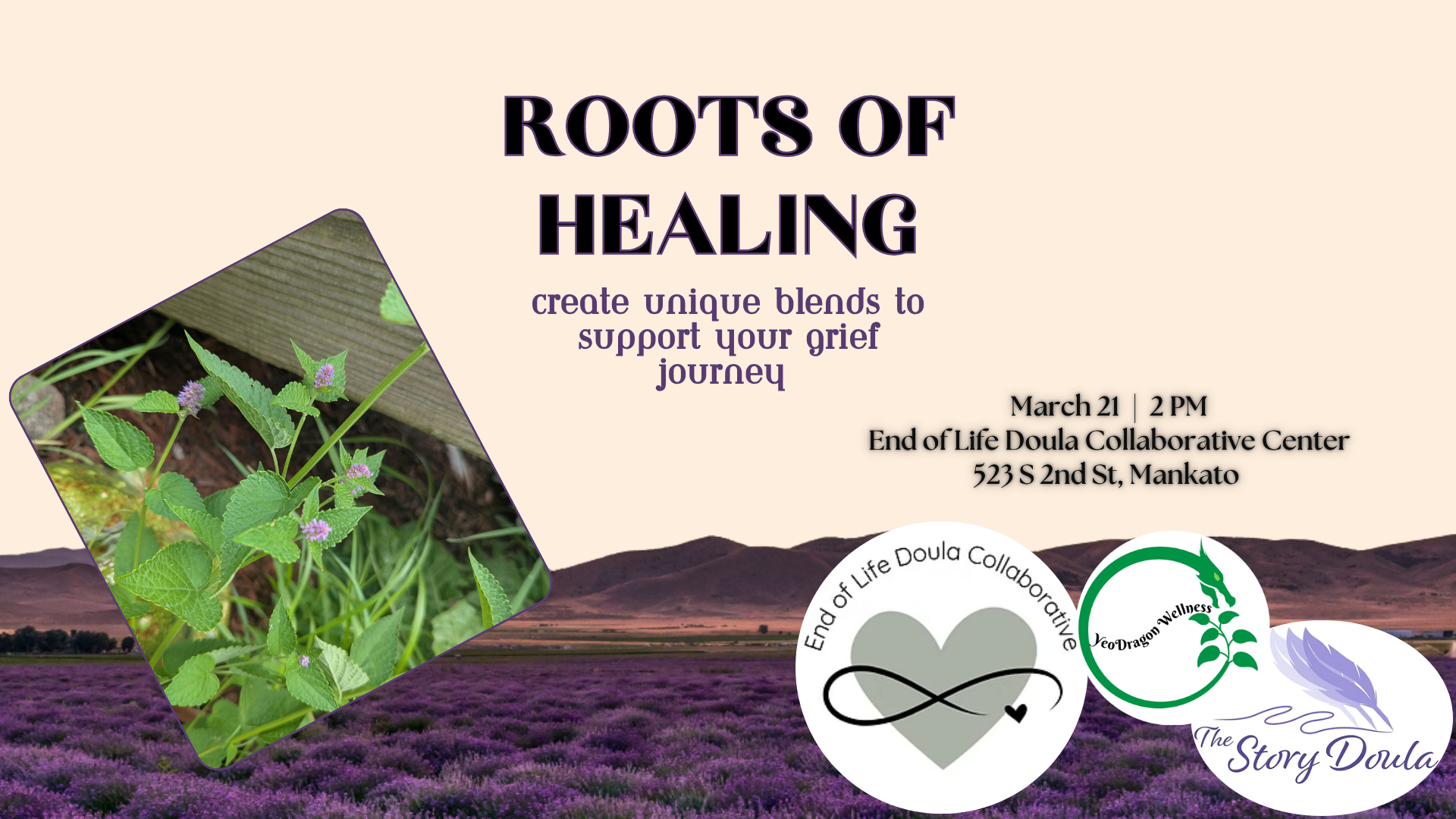 Campaign cover image for Roots of Healing