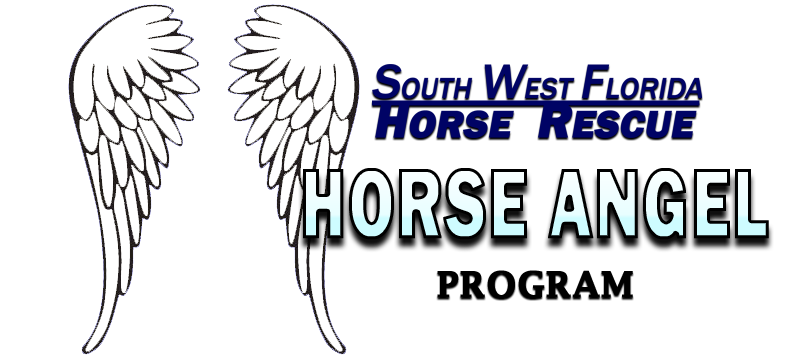 Campaign cover image for SWFHR "Horse Angel" Program