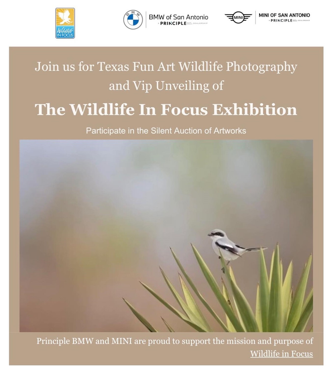 Campaign cover image for Wildlife in Focus VIP Night