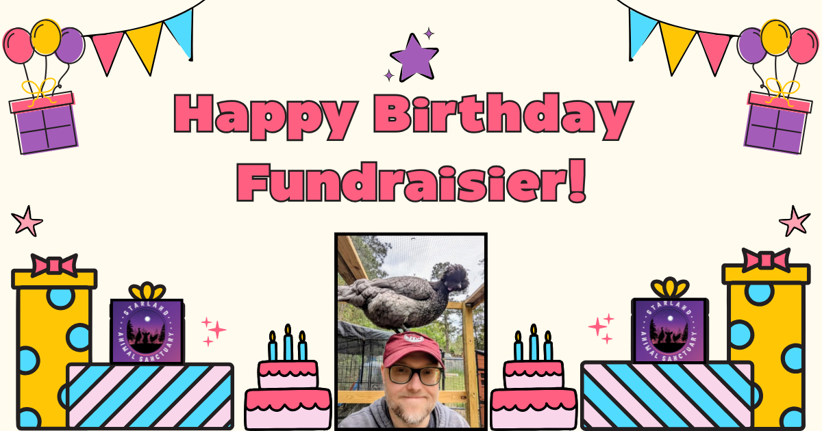 Campaign cover image for Scotty's Birthday Fundraiser 2025