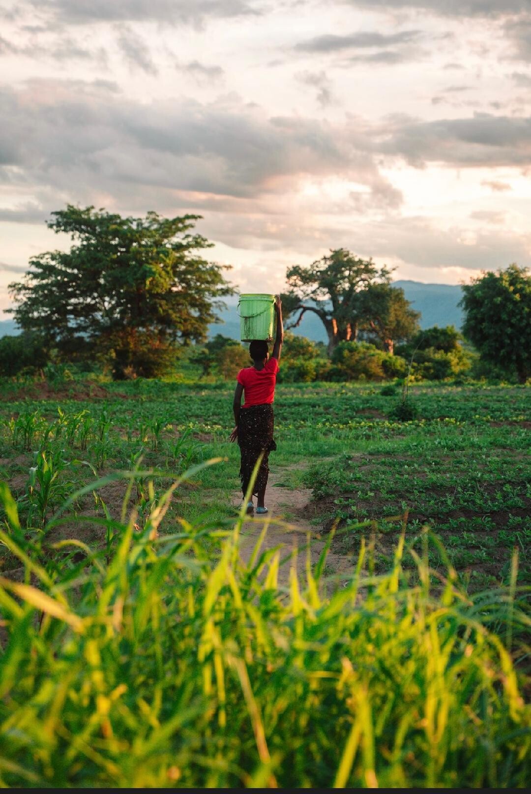 Campaign cover image for SOS Malawi Legacy Fund