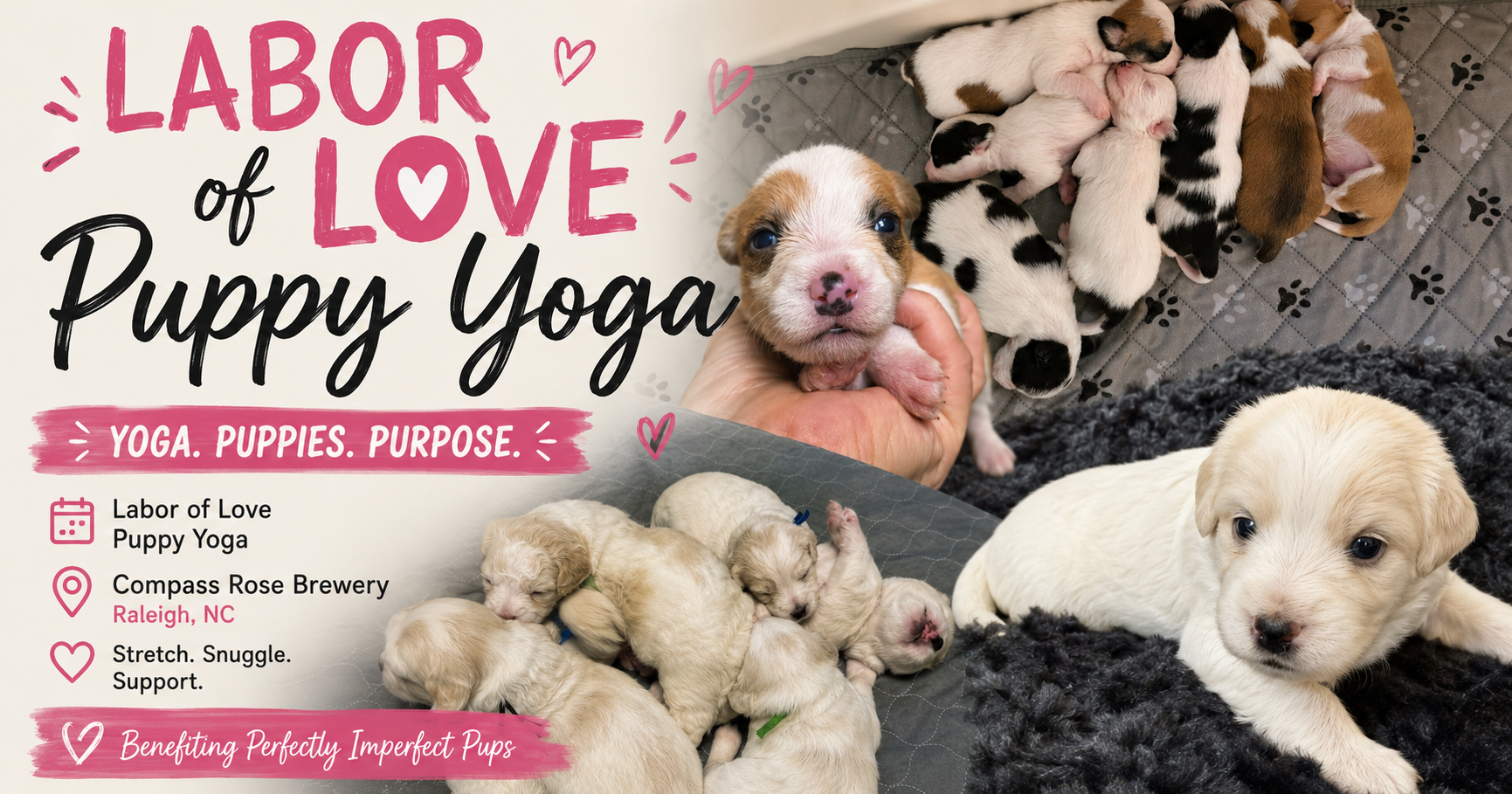 Campaign cover image for Labor of Love: Puppy Yoga