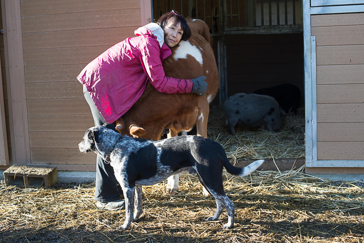 Campaign cover image for Miyoko's Birthday Fundraiser