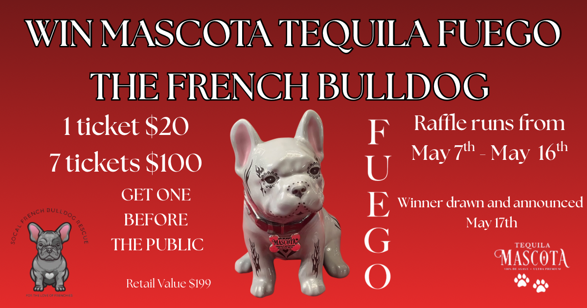 Campaign cover image for Mascota "Fuego" French Bulldog Tequila