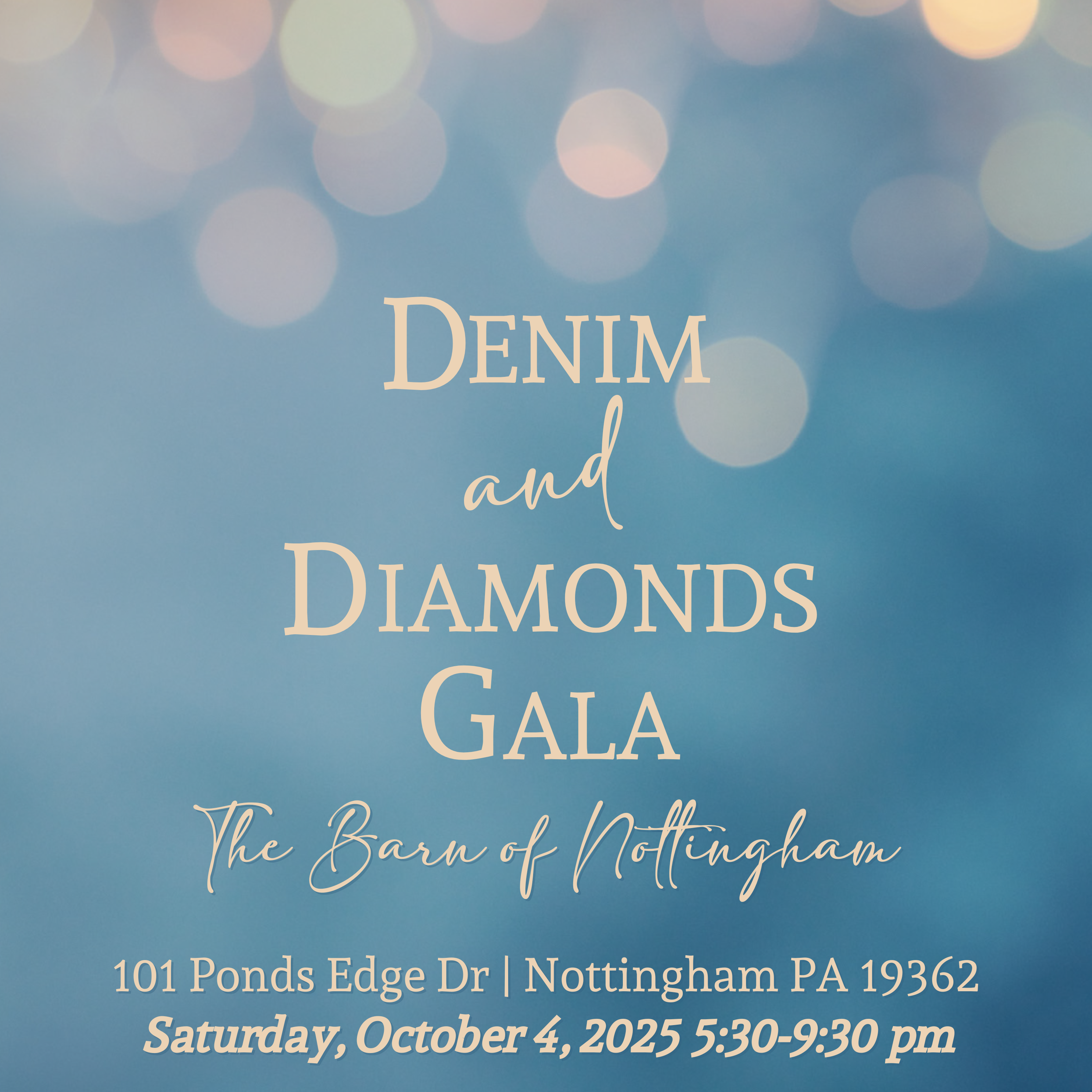 Campaign cover image for 2025 Denim & Diamonds Gala