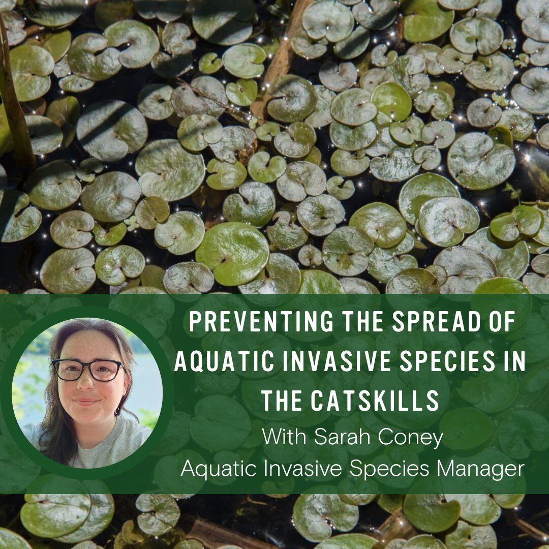 Campaign cover image for Preventing the Spread of Aquatic Invasive Species in the Catskills