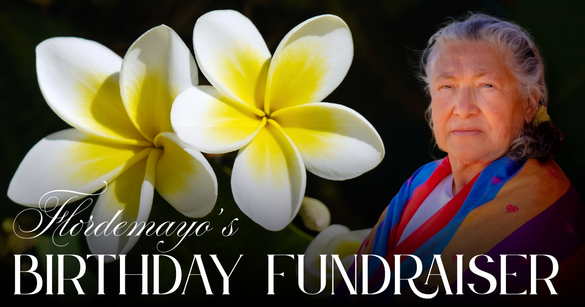 Campaign cover image for Grandmother Flordemayo’s Birthday Fundraiser