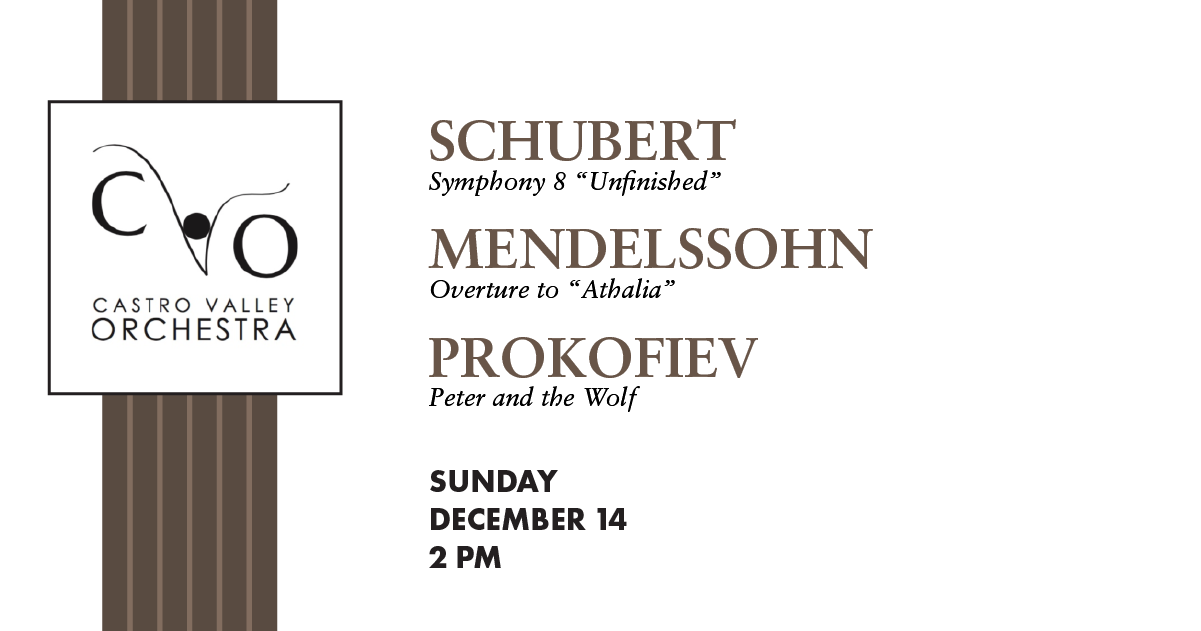 Campaign cover image for Castro Valley Orchestra Winter Concert 2025