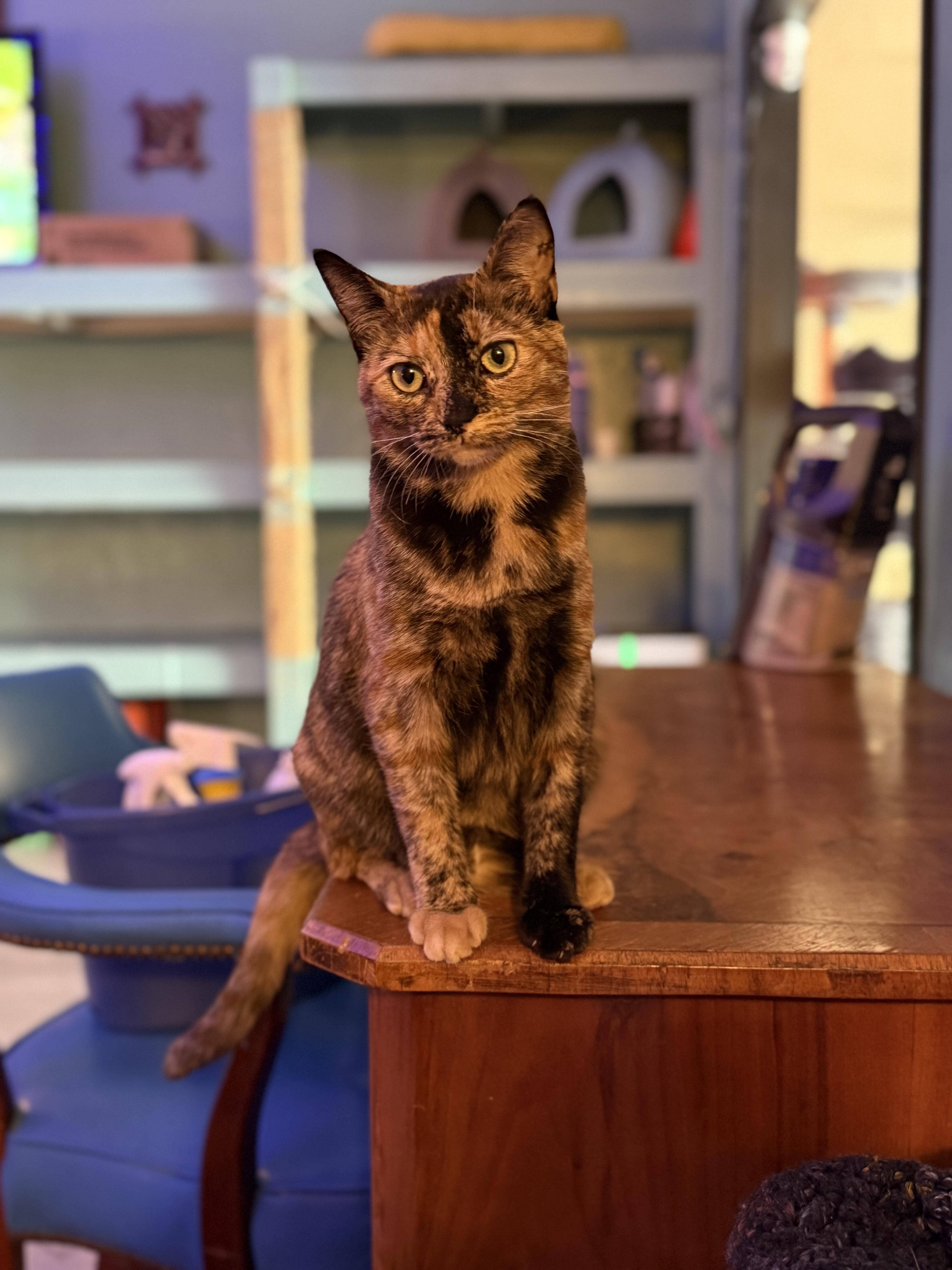 Campaign cover image for Saving Lives Together