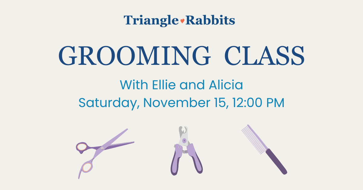 Campaign cover image for Grooming Class