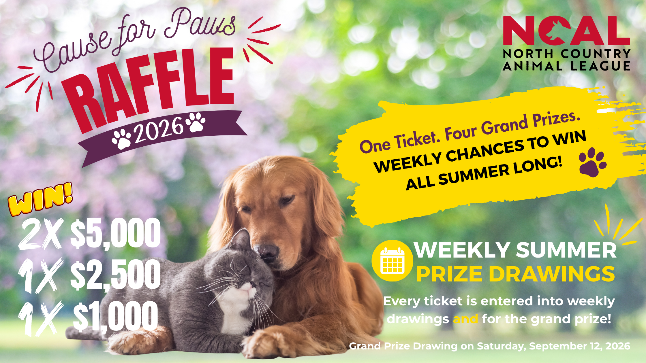 Campaign cover image for Cause for Paws Raffle 2026