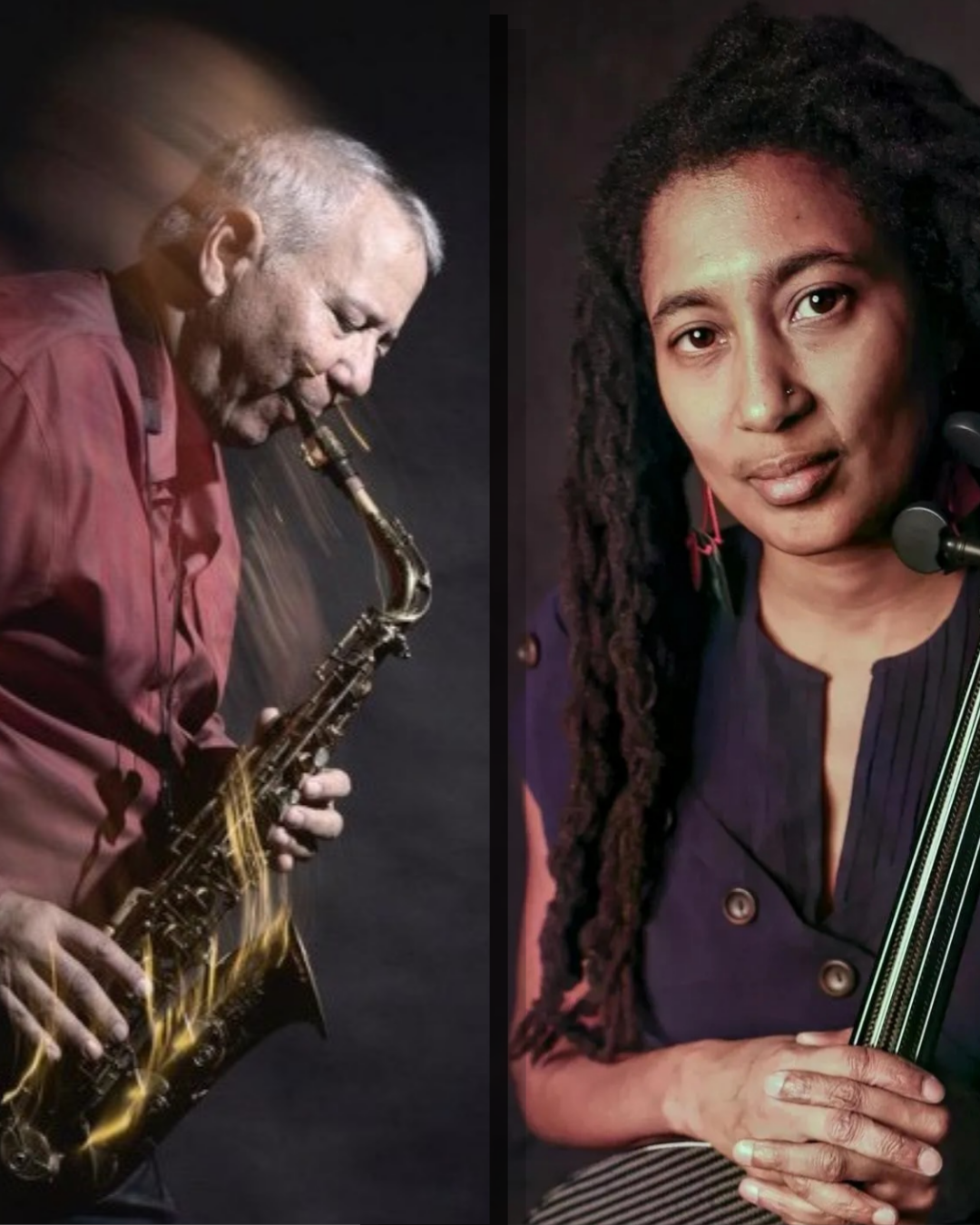 Campaign cover image for Tomeka Reid/Marty Ehrlich Duo