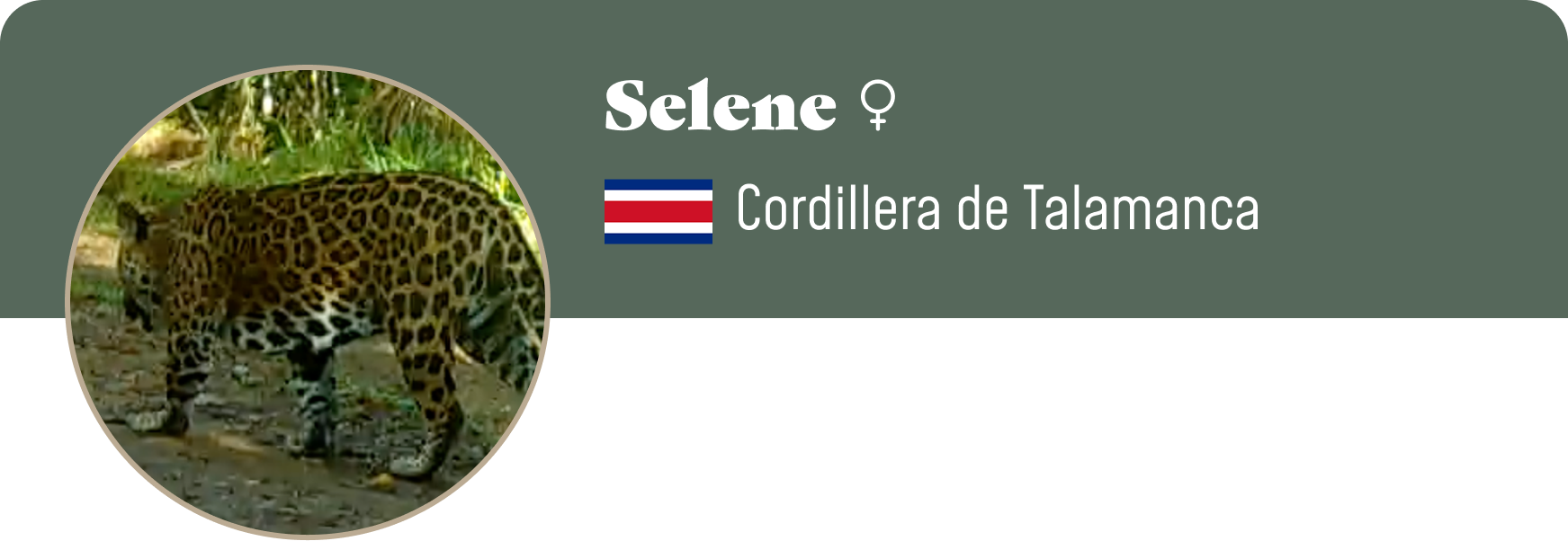 Campaign cover image for Adopt Selene