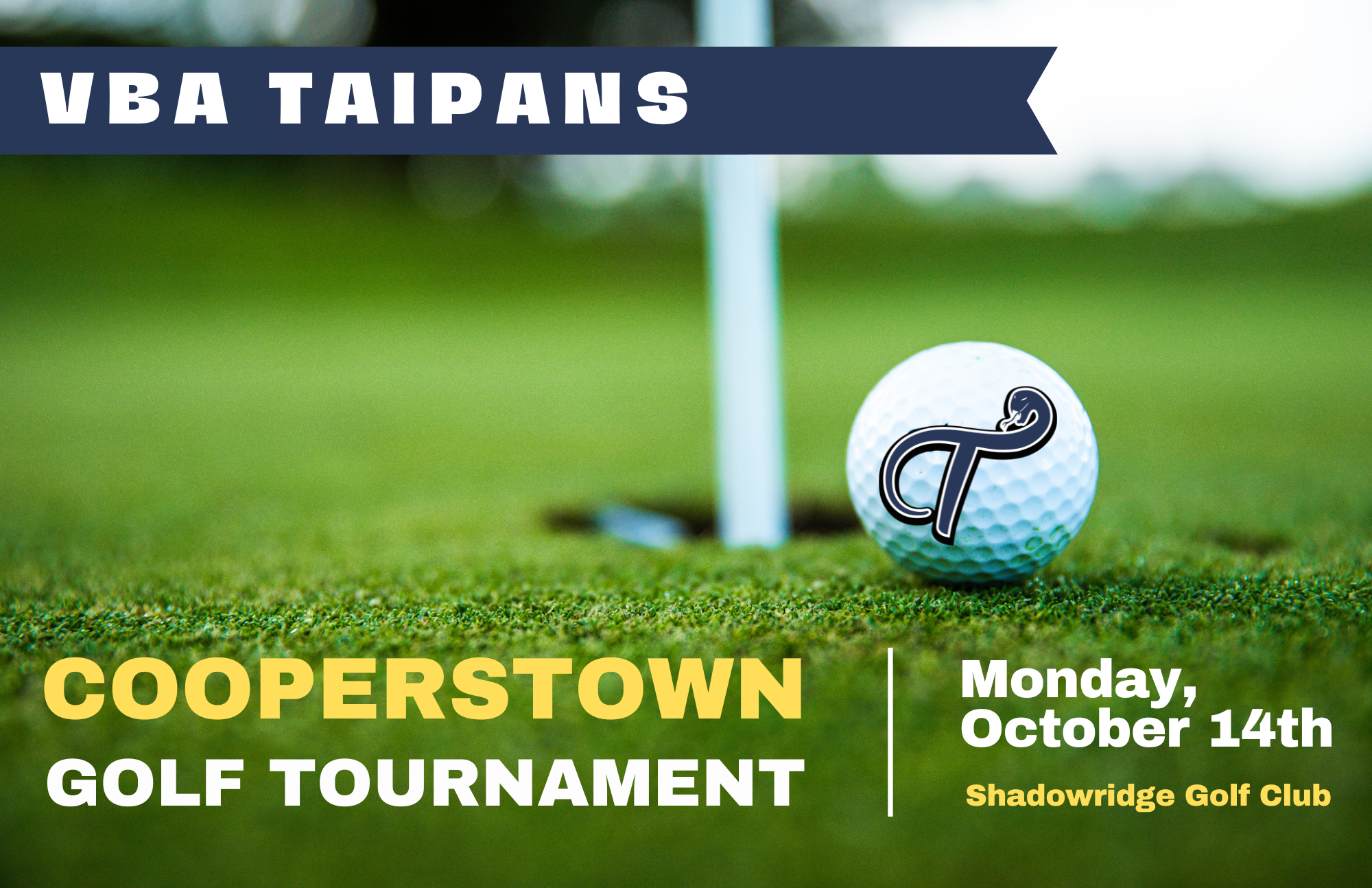 Campaign cover image for 2025 VBA Taipans Cooperstown Golf Tournament Fundraiser