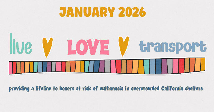 Campaign cover image for LIVE - LOVE - TRANSPORT