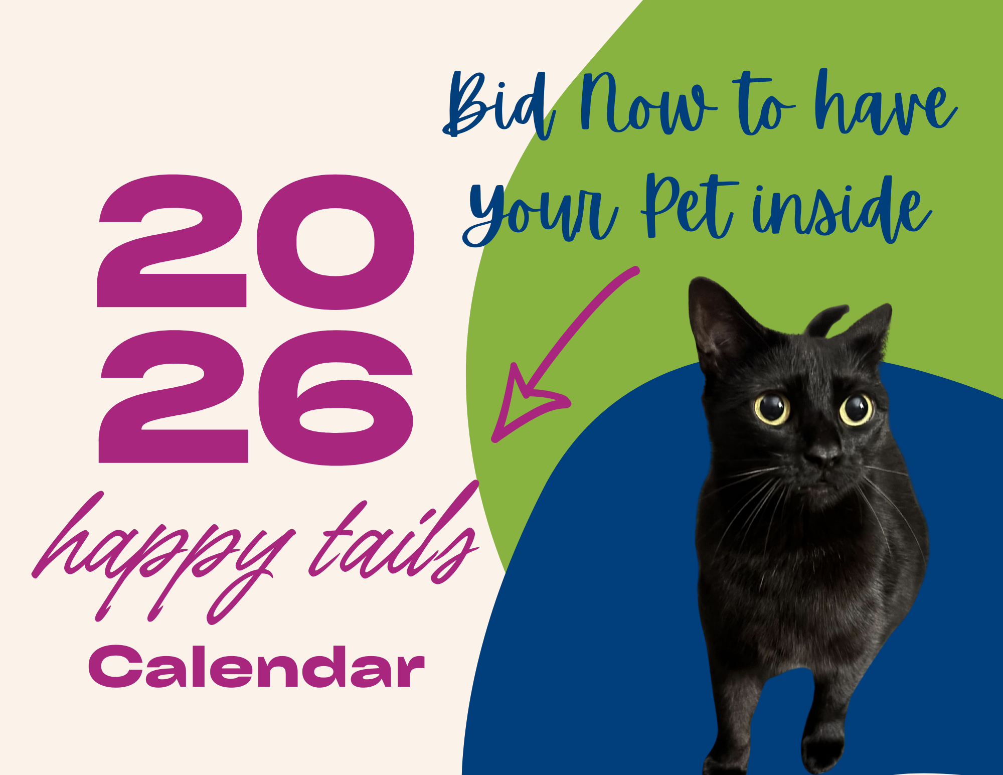 Campaign cover image for 2026 RISPCA Calendar Auction