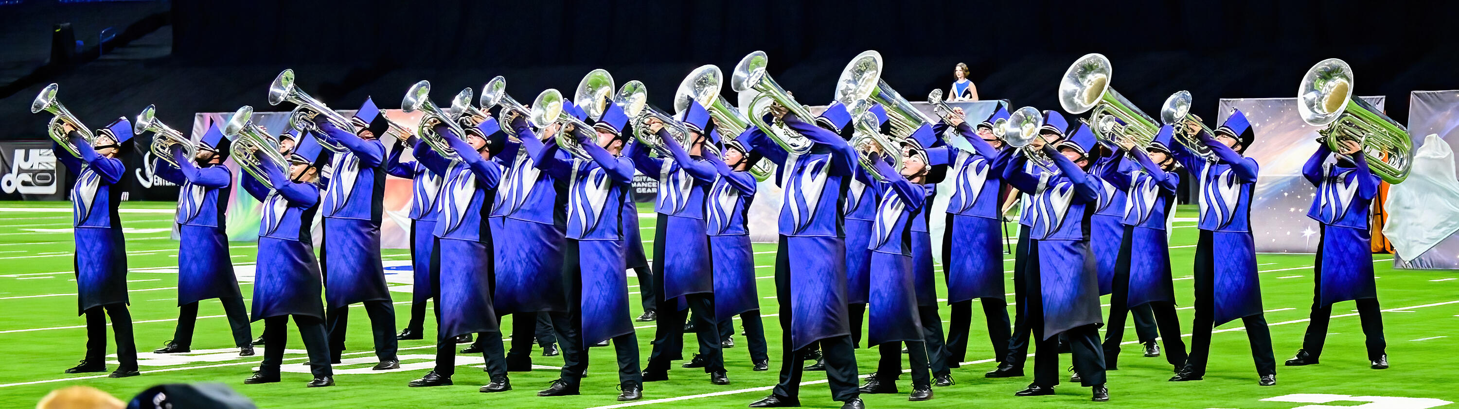 Campaign cover image for White Saber Nation