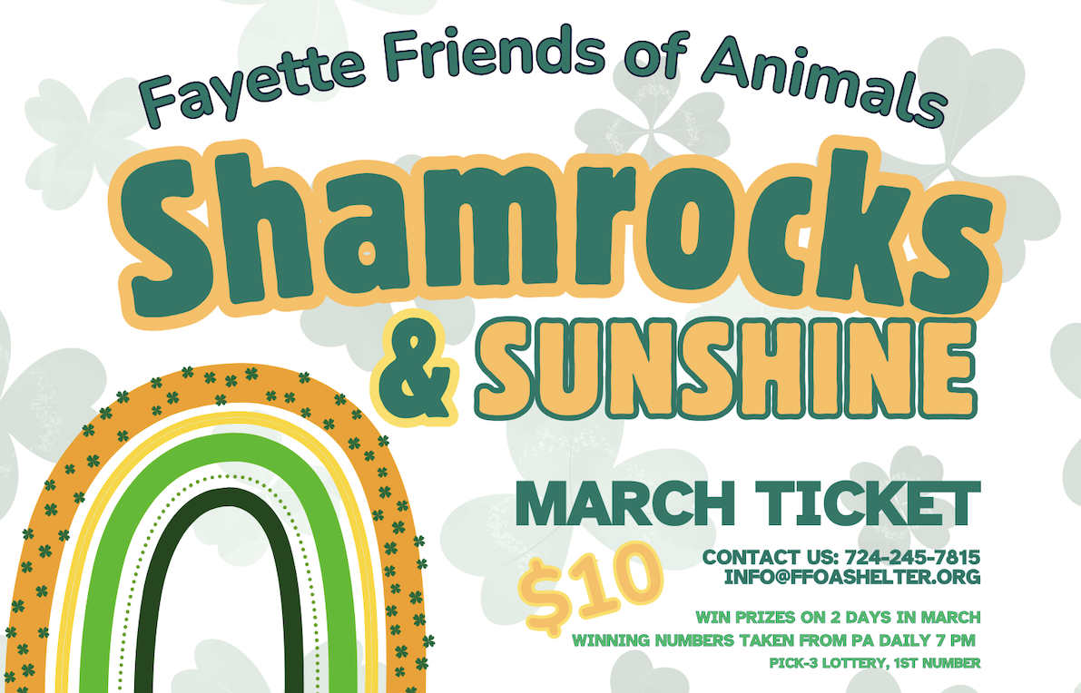 Campaign cover for ☘️ Shamrocks & Sunshine – 2-Day Cash Ticket