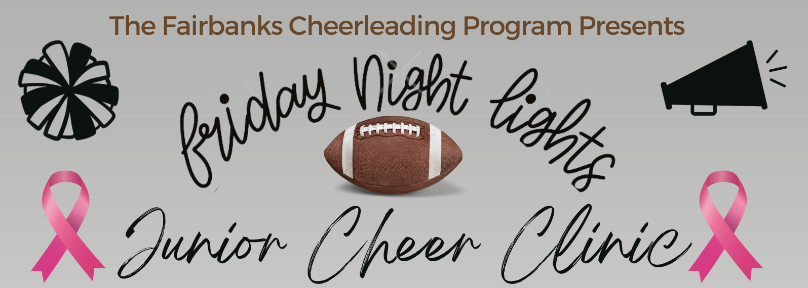 Campaign cover image for Fairbanks Friday Night Lights Cheer Camp