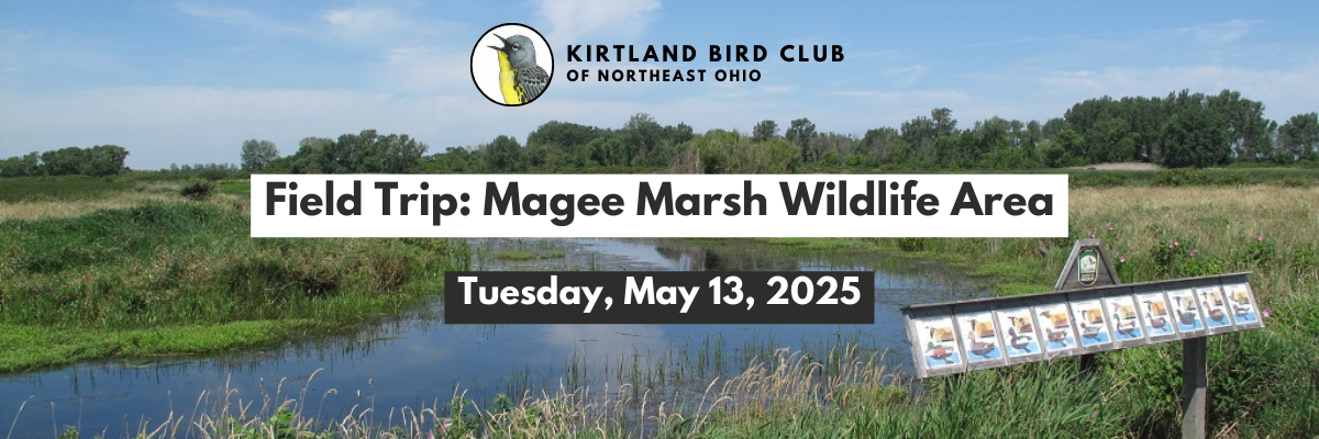 Campaign cover image for May 2025 Magee Marsh Field Trip