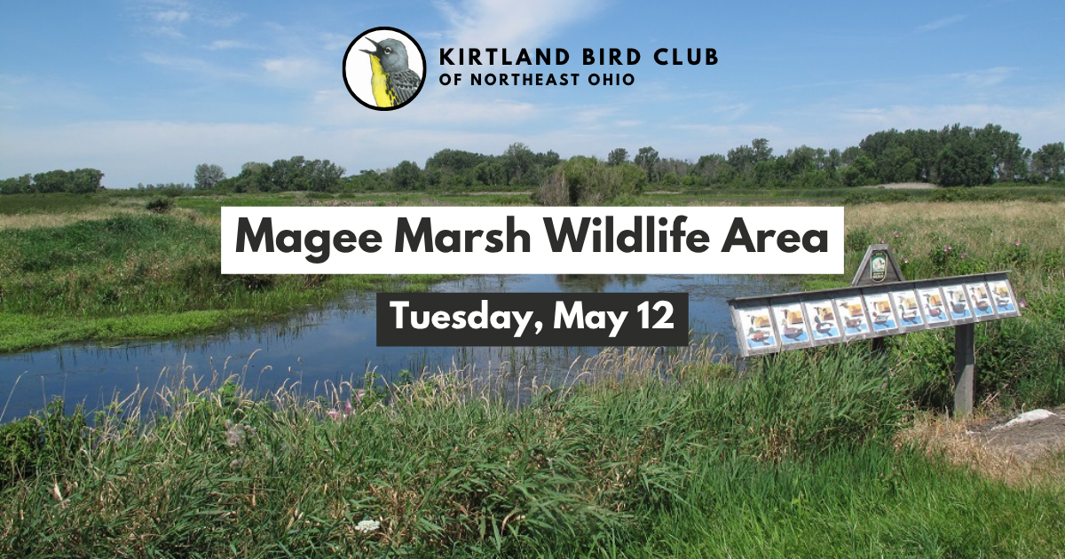 Campaign cover image for Magee Marsh Wildlife Area Field Trip