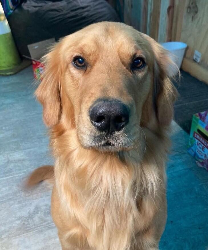 Campaign cover for Bruce Lane HW+