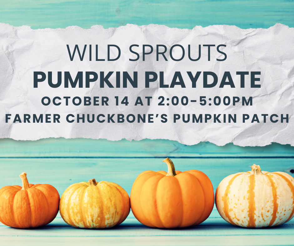Campaign cover image for Wild Sprouts Pumpkin Patch Playdate