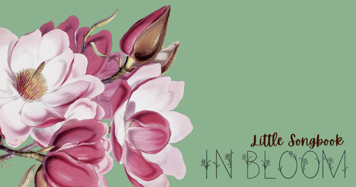 Campaign cover image for One Year Celebration Concert