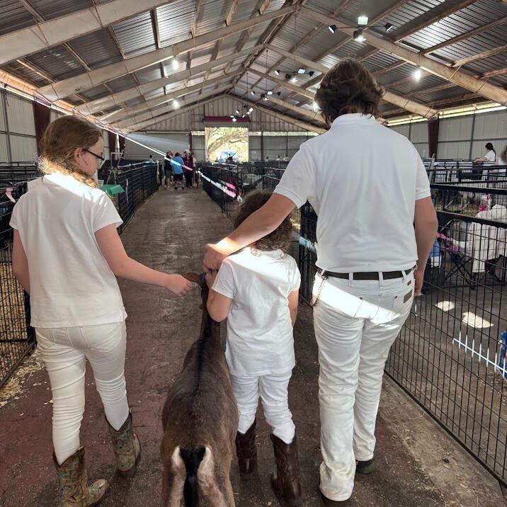 Campaign cover image for Get Goating! Dairy Goat Youth Club 2026