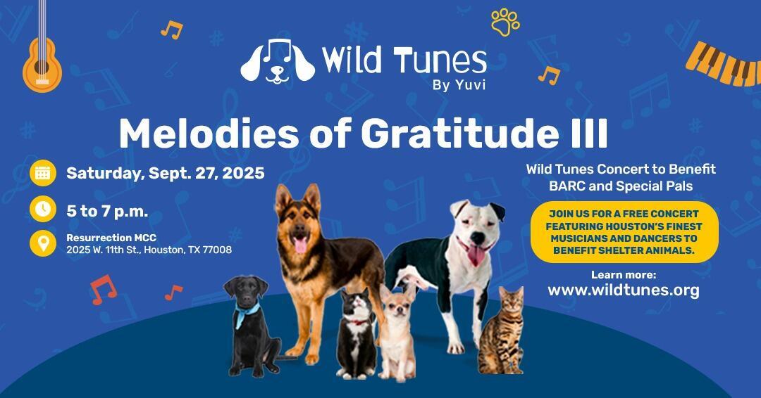 Campaign cover image for Melodies of Gratitude II