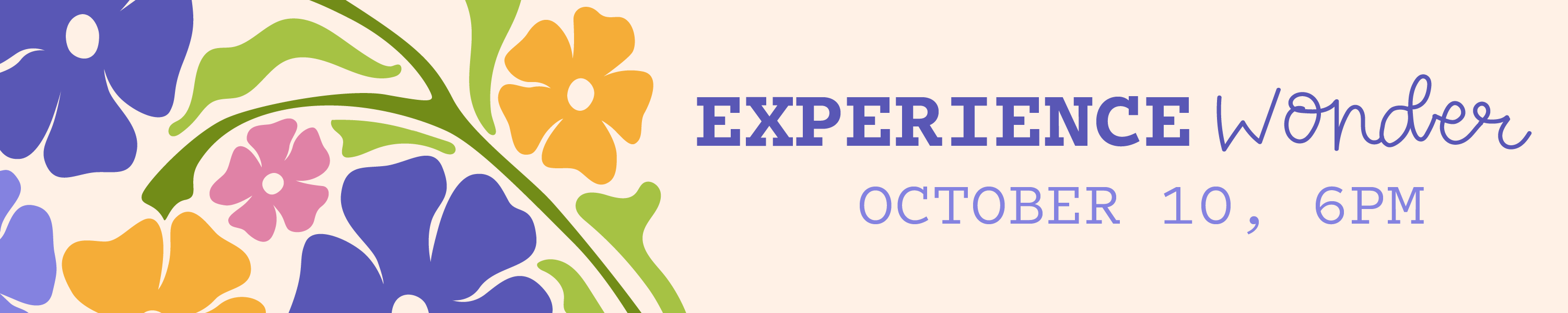 Campaign cover image for Experience Wonder 2026