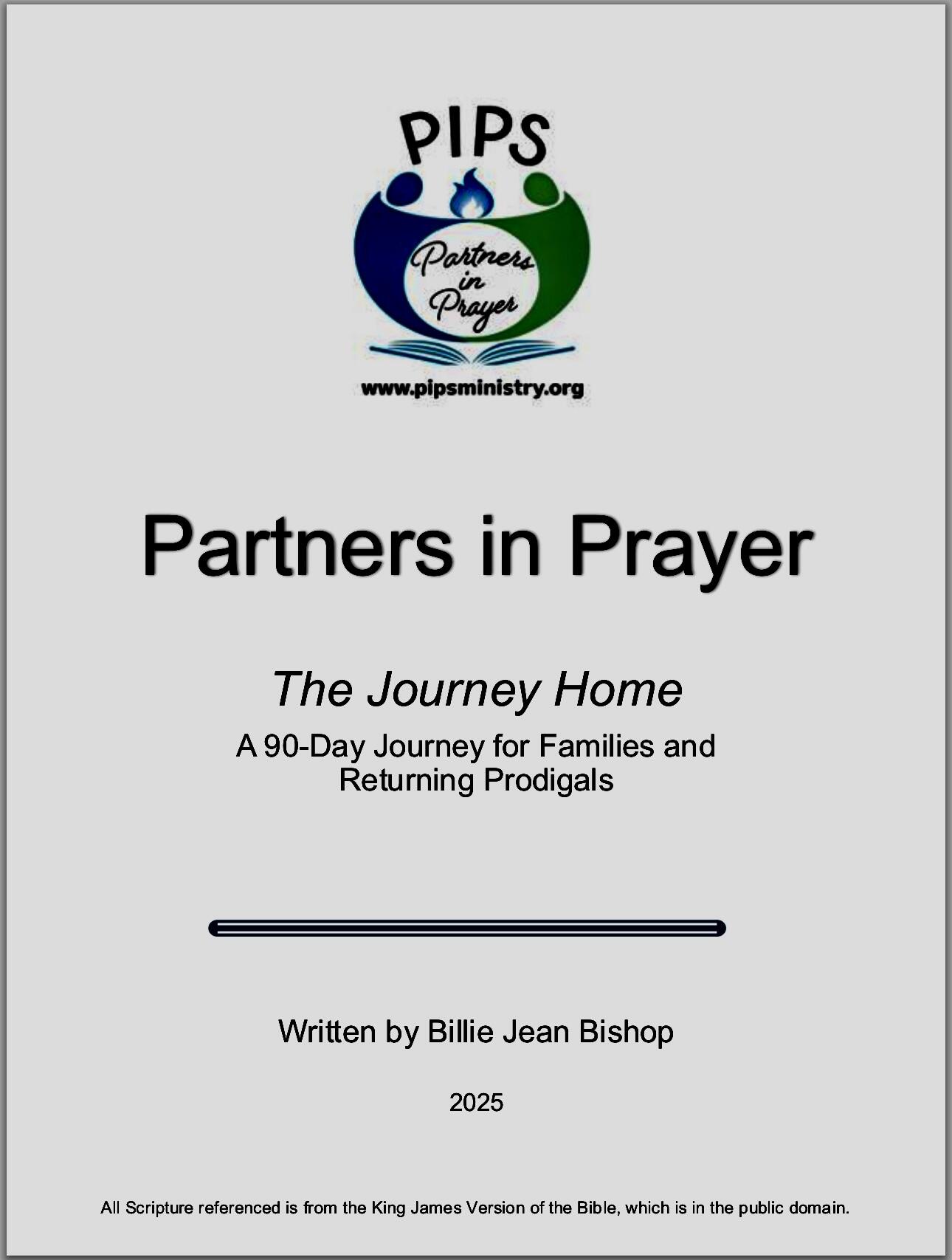 Campaign cover image for Partners in Prayer: A 90-Day Daily Guide for Families and Returning Prodigals