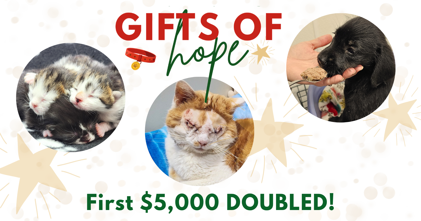 Campaign cover image for 2026 Gifts of Hope Holiday Catalog