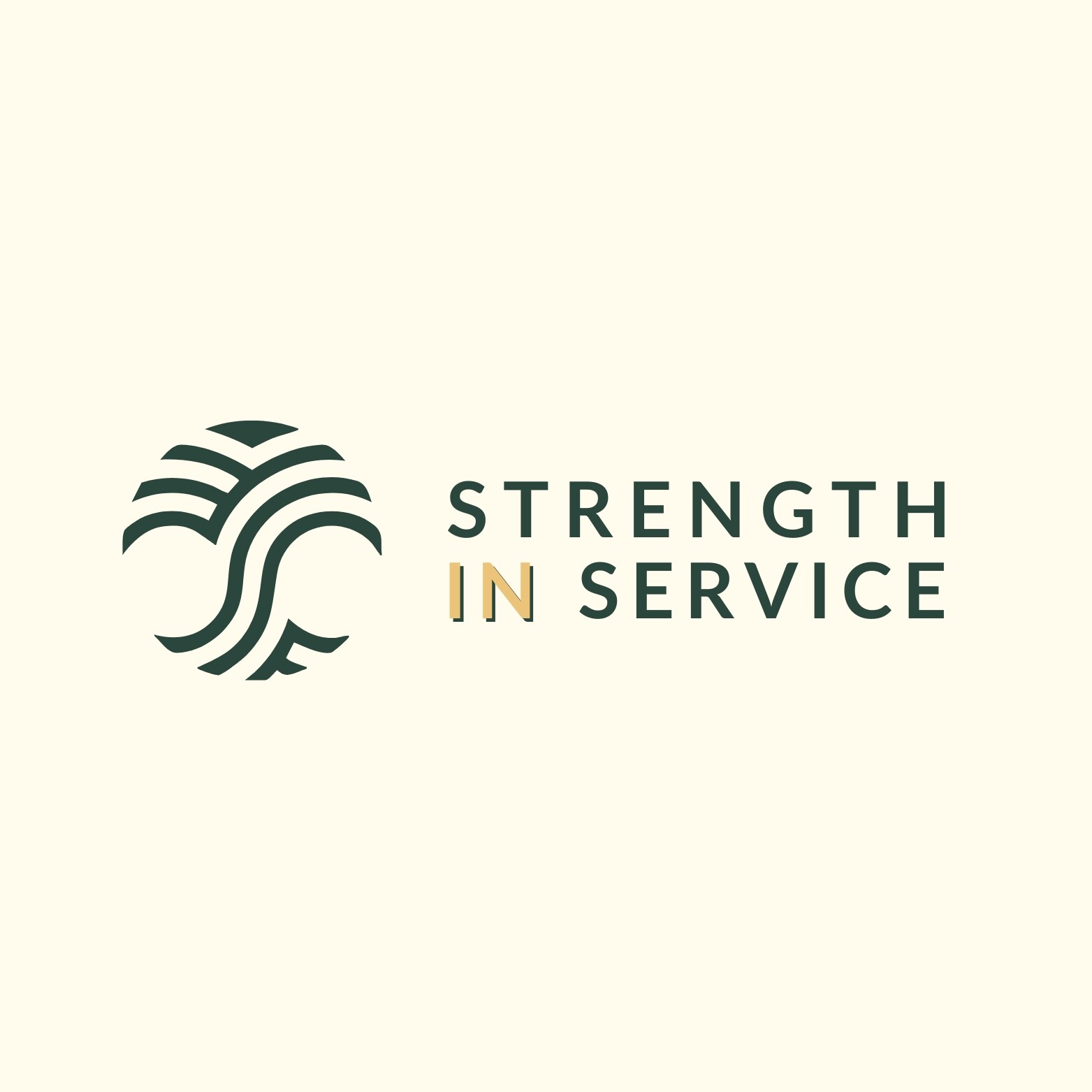 Strength In Service Fundraising