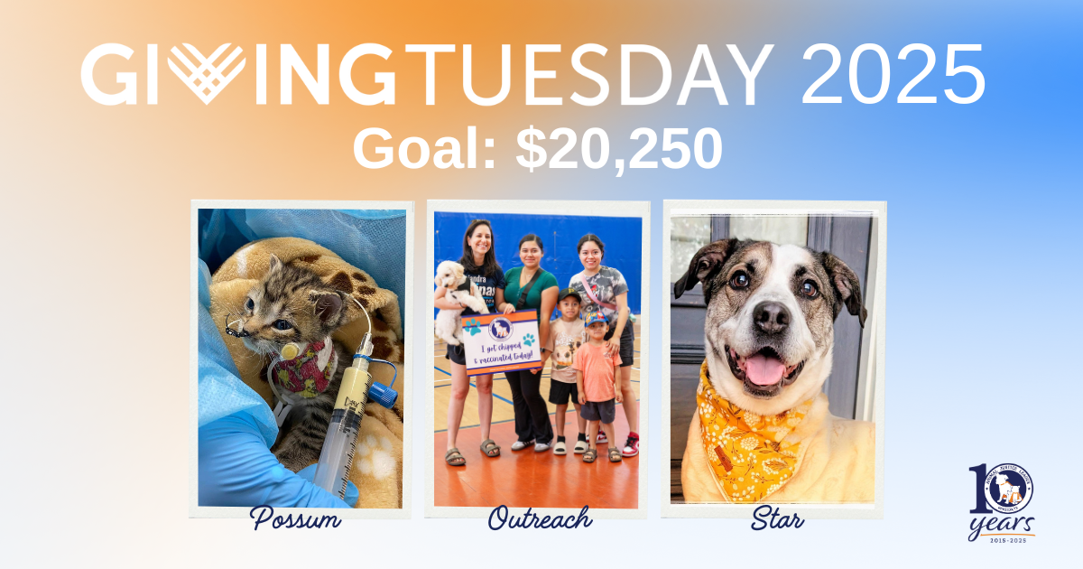 Campaign cover image for Animal Justice League #GivingTuesday 2025