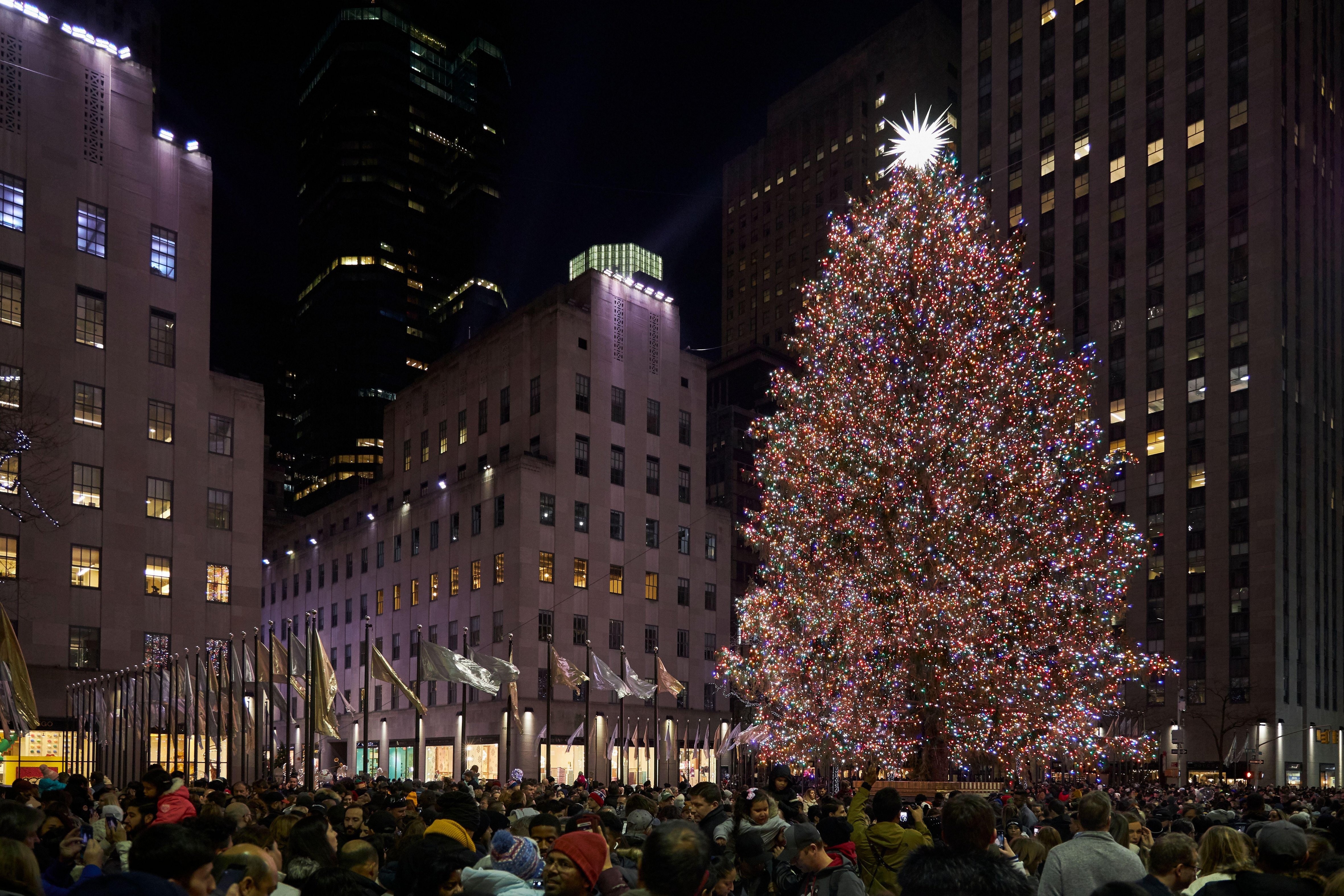 Campaign cover image for NYC 2022 Day Trip with CPC Alumni Adventures