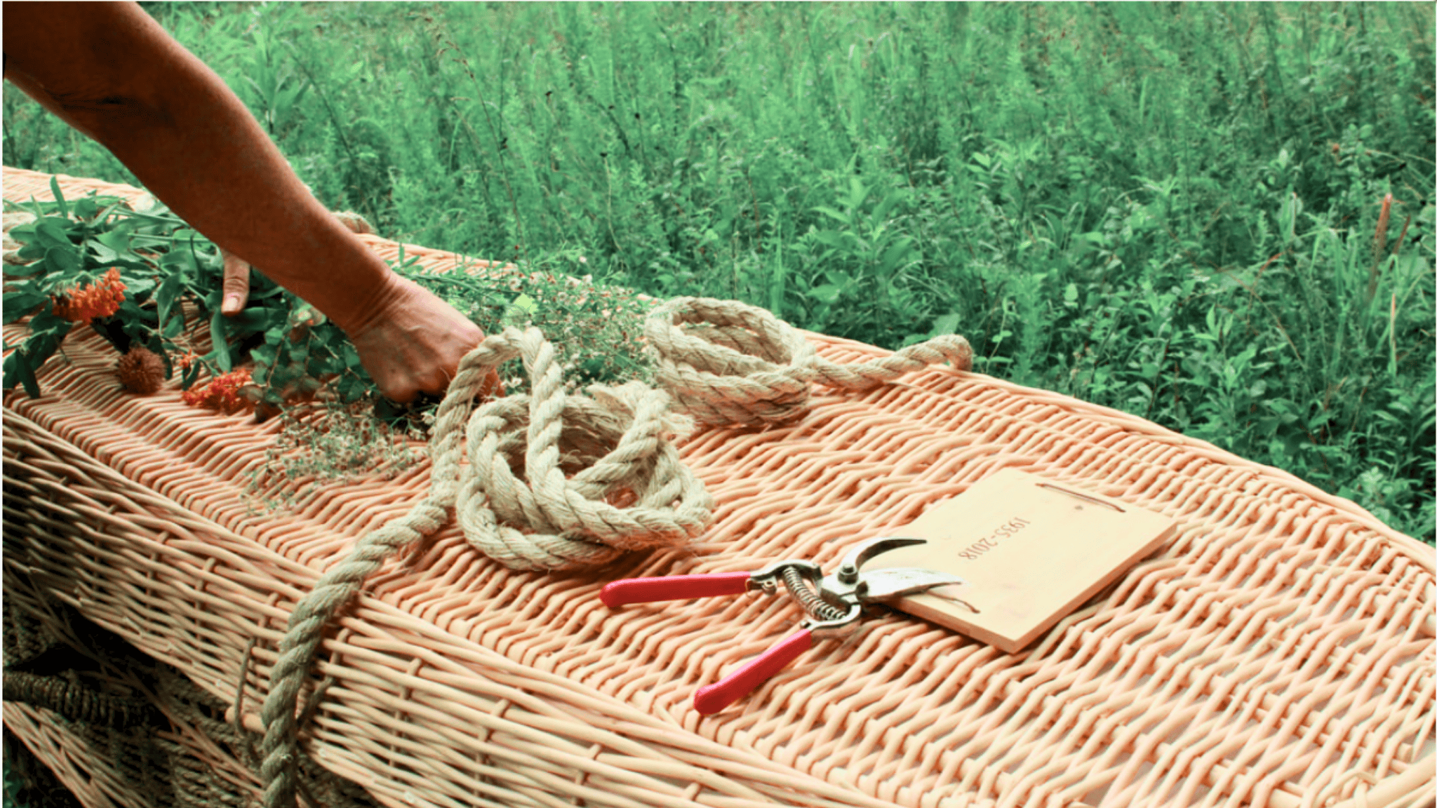 Campaign cover image for Donate to the Green Burial Council