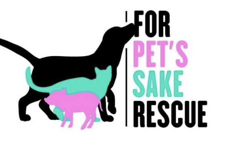 Campaign cover image for For Pet's Sake Rescue Giving Tuesday Fundraiser