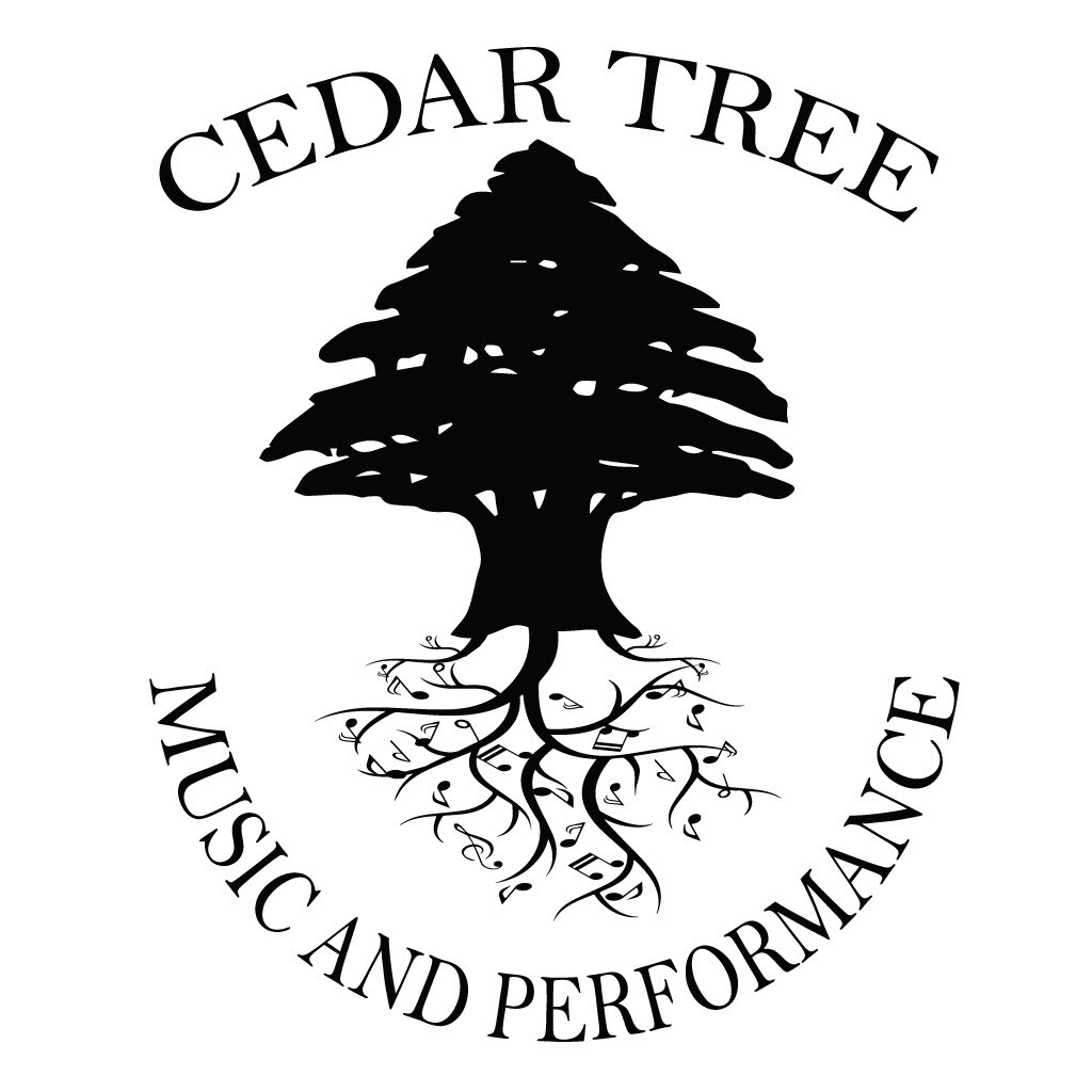 Campaign cover image for The Bridgerton Gala: A Fundraiser for Young Virtuosos