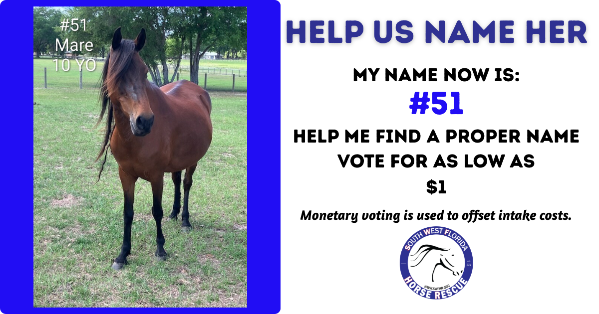 Campaign cover image for SWFHR Name Game - #51