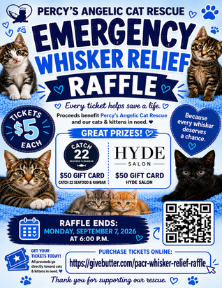 Campaign cover image for Emergency Whisker Relief Raffle