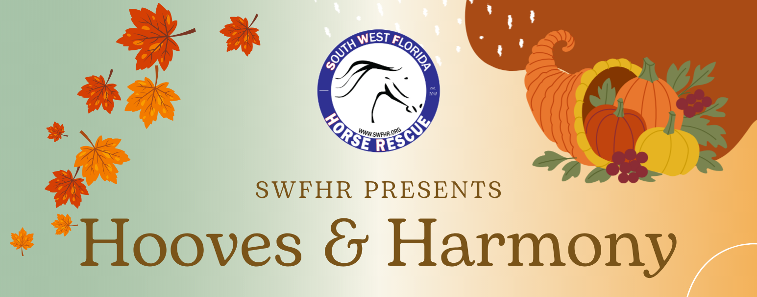 Campaign cover image for SWFHR Hooves & Harmony