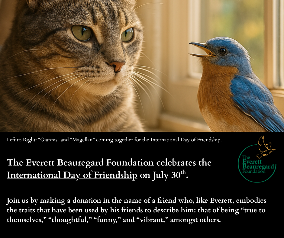 Campaign cover image for Together for Good: An International Day of Friendship Fundraiser